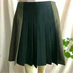 Pleated Mini  Skirt